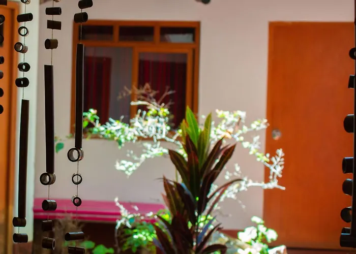 Yoly\'S House